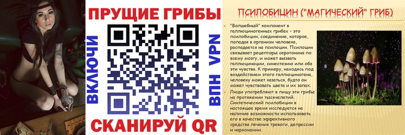 hydra ссылка  Заозёрск  Псилоцибиновые грибы Cubensis 
